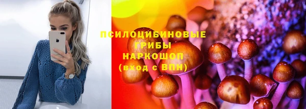 тгк Ладушкин
