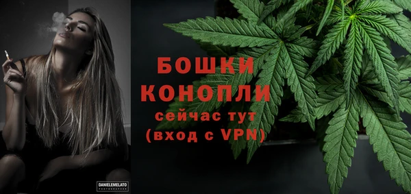 тгк Ладушкин