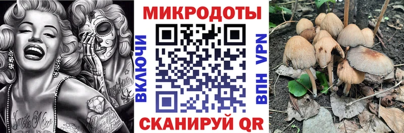 Купить где  Сасово  Псилоцибиновые грибы ЛСД 
